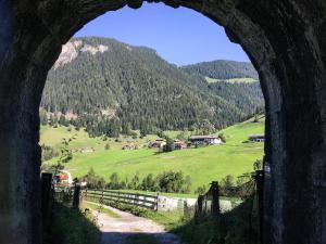 Príroda v okolí apartmánu