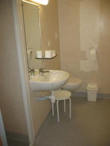 uma casa de banho com um lavatório, um espelho e um WC. em HOME DU BUISSON Hôtel des Familles em Isle