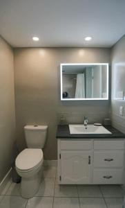 uma casa de banho com um WC, um lavatório e um espelho. em Magog Waterfront Studio 106 em Magog-Orford