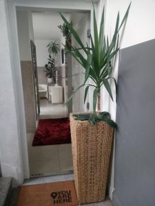 a bathroom with a potted plant on the wall at Apartment Top Centar in Banja Luka