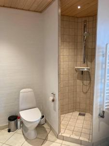 uma casa de banho com um WC e um chuveiro em Bakkebo em Hvide Sande