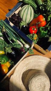 two boxes filled with vegetables on a wooden table at Santa Lucia Maccarese - Residenza Agricola in Maccarese