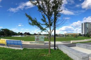 a park with a blue bench and a tree at Executive Suite Loft - Harvard Allston Campus in Boston