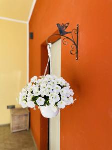 Fotografie z fotogalerie ubytování Il giardino di Iole Via Giovanni Amendola n36 v destinaci Sassari