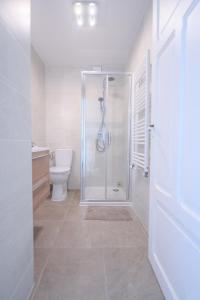 bagno con doccia e servizi igienici. di A la meulière d'Orsay, vue sur la vallée, au calme a Orsay