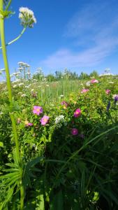 Giardino di Bouctouche Bay Inn