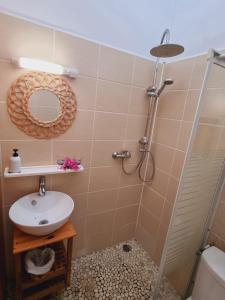 a bathroom with a sink and a shower at Gites Kaladja in Port-Louis