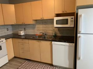 a kitchen with a sink and a microwave at Ottawa airport guesthouse in Ottawa