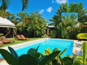 a swimming pool in a villa with palm trees at Gites Kaladja in Port-Louis