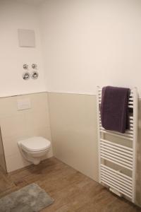 uma casa de banho com um WC e um toalheiro. em Casa Kronengarten Nr 2 em Hilden