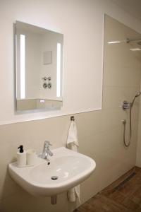 uma casa de banho com um lavatório e um espelho em Casa Kronengarten Nr 2 em Hilden