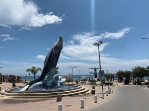 a statue of a dolphin in a fountain at Suites Sonikikos in Ballenita