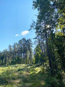 Príroda v okolí apartmánu
