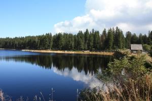 a large body of water with a house and trees at Hotel zur Schmiede in Altenau