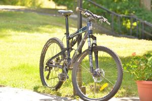 ein Fahrrad, an eine Stange im Gras gekettet in der Unterkunft Hotel zur Schmiede in Altenau