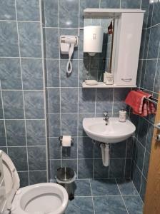 un baño con inodoro y lavabo en Apartman Jovanka 2, en Trebinje 57 fotos más