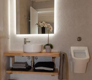 ein Badezimmer mit einem Waschbecken, einem WC und einem Spiegel in der Unterkunft La Casa de los Mil Años in Estella