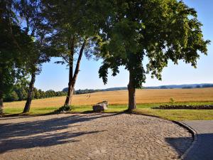 Naturlandschaft in der Nähe der Ferienwohnung