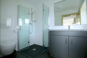 ein Badezimmer mit Dusche, Toilette und Waschbecken in der Unterkunft Bahnhof Hohen Mistorf in Hohen Mistorf + 28 Fotos