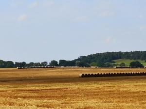 Naturlandschaft in der Nähe der Ferienwohnung