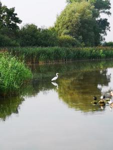 Naturlandschaft in der Nähe der Ferienwohnung