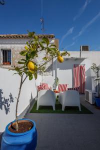 Fotografie z fotogalerie ubytování San diego alto v destinaci Seville