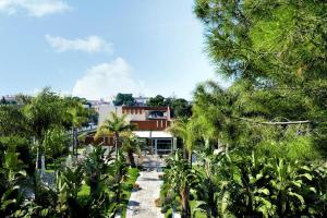 a house with palm trees in front of it at Colonna Rooms & apartment in Trani