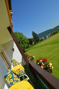 Příroda nedaleko bed and breakfast