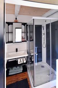 La petite salle de bains est pourvue d'un lavabo et d'une douche. dans l'établissement Le kocon, dans un écrin, le calme à la mer, à Saint-Pair-sur-Mer