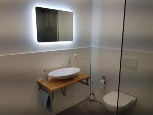 a bathroom with a sink and a toilet and a mirror at Haus Soestblick - Ferienwohnung in Möhnesee +18 photos