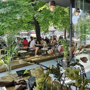 Gallery image of OLIVERA APARTMENT in Belgrade