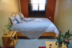 - une chambre avec un lit avec deux chats dans l'établissement Riad Essaouira, à Essaouira