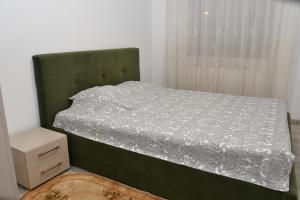 Gallery image of Toporasi Apartament in Craiova