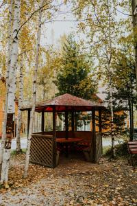 a gazebo with a picnic table in a park at Park Hotel Bely Sobol in Baykalsk