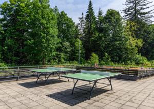 Stolni tenis u objektu English Home in Silver Mountain Resort Poiana Brasov ili u blizini