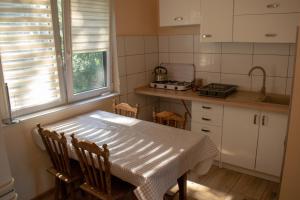 a kitchen with a table with chairs and a sink at Agroturystyka Kaszuby in Wojsk