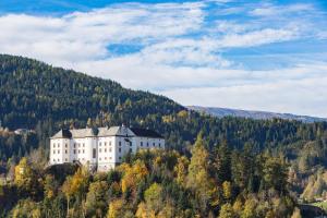 a castle on top of a hill with trees at Haus Agnes, Murau in Murau