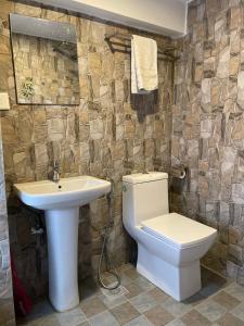 a bathroom with a toilet and a sink at Hotel vintage Home in Bhaktapur +127 photos