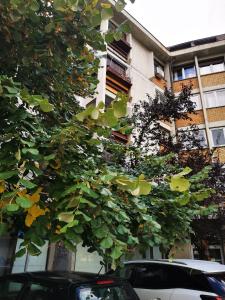 Bangunan di mana terletaknya apartmen