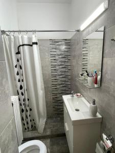 La salle de bains est pourvue d'une douche, de toilettes et d'un lavabo. dans l'établissement Centru charming new apartament piata universitate, à Bucarest