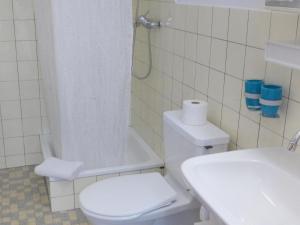 uma casa de banho com um WC, um chuveiro e um lavatório. em Apartment Chalet Bärgsunna-2 by Interhome em Grindelwald