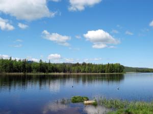 un gran lago con árboles en el medio en Chalet Vemhån Östholmen by Interhome, en Vemhån