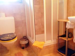 een kleine badkamer met een toilet en een douche bij Apartment Lohnerhus-1 by Interhome in Grindelwald