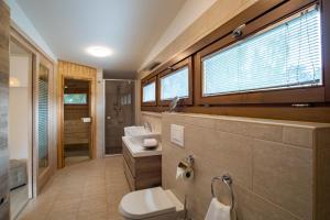 een badkamer met een toilet, een wastafel en een douche bij Stay with Gamauf in Fonyód