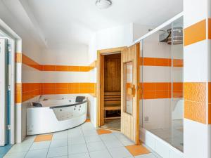 Vonios kambarys apgyvendinimo įstaigoje Holiday Home Albrechtice by Interhome