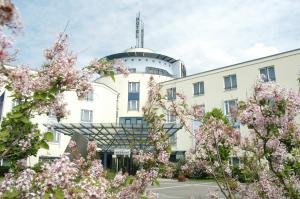Zahrada ubytování Hotel Meerane