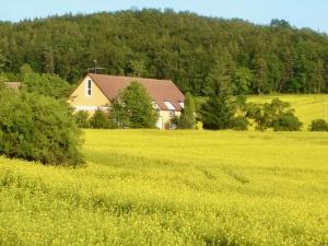 Príroda v okolí apartmánu
