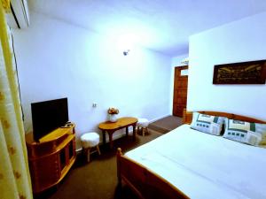 a bedroom with a bed and a desk and a television at Motel Thessaloniki in Sandanski