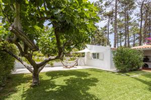 ein Garten mit einem Baum und einem Stuhl in einem Hof in der Unterkunft CASA AROEIRA - Beach bungalow near Lisbon in Charneca