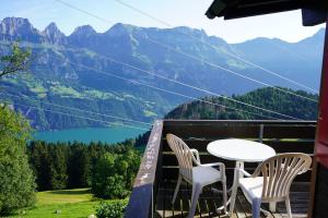 Splošen pogled na gorovje oz. razgled na gore, ki ga ponuja apartma